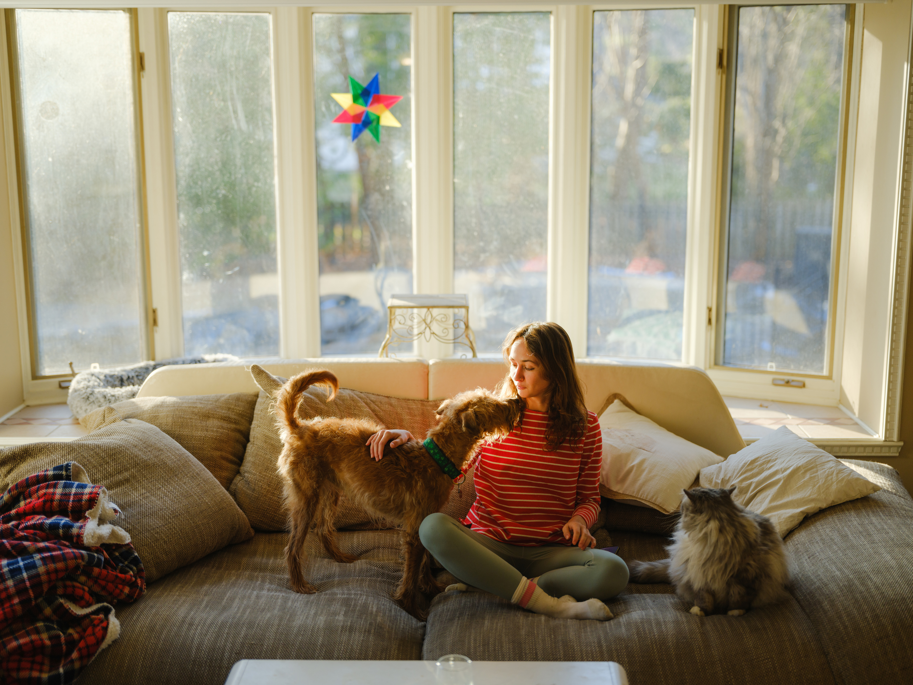 Pet receiving companionship in a home environment