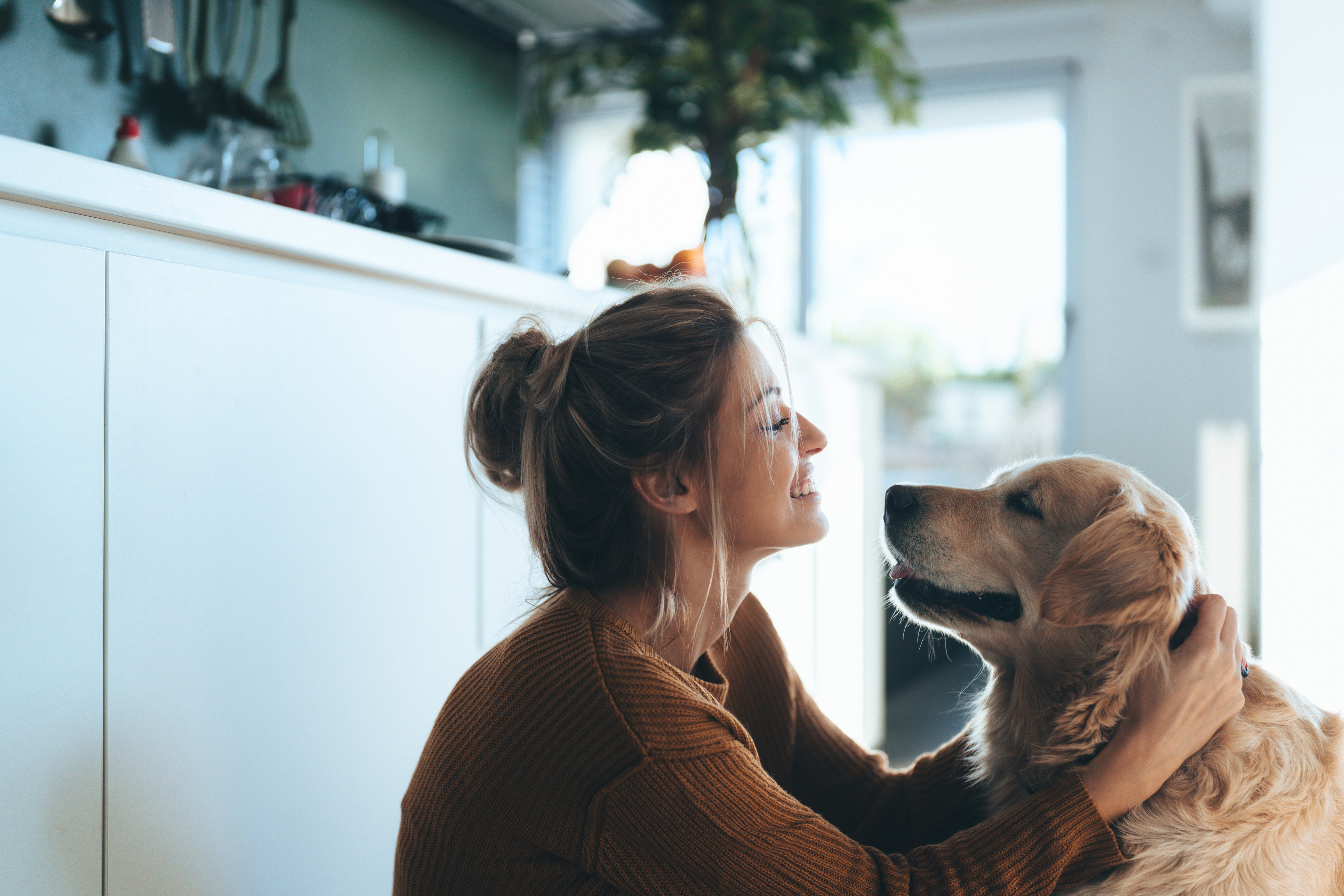 Calm moment with a dog at home during a home visit