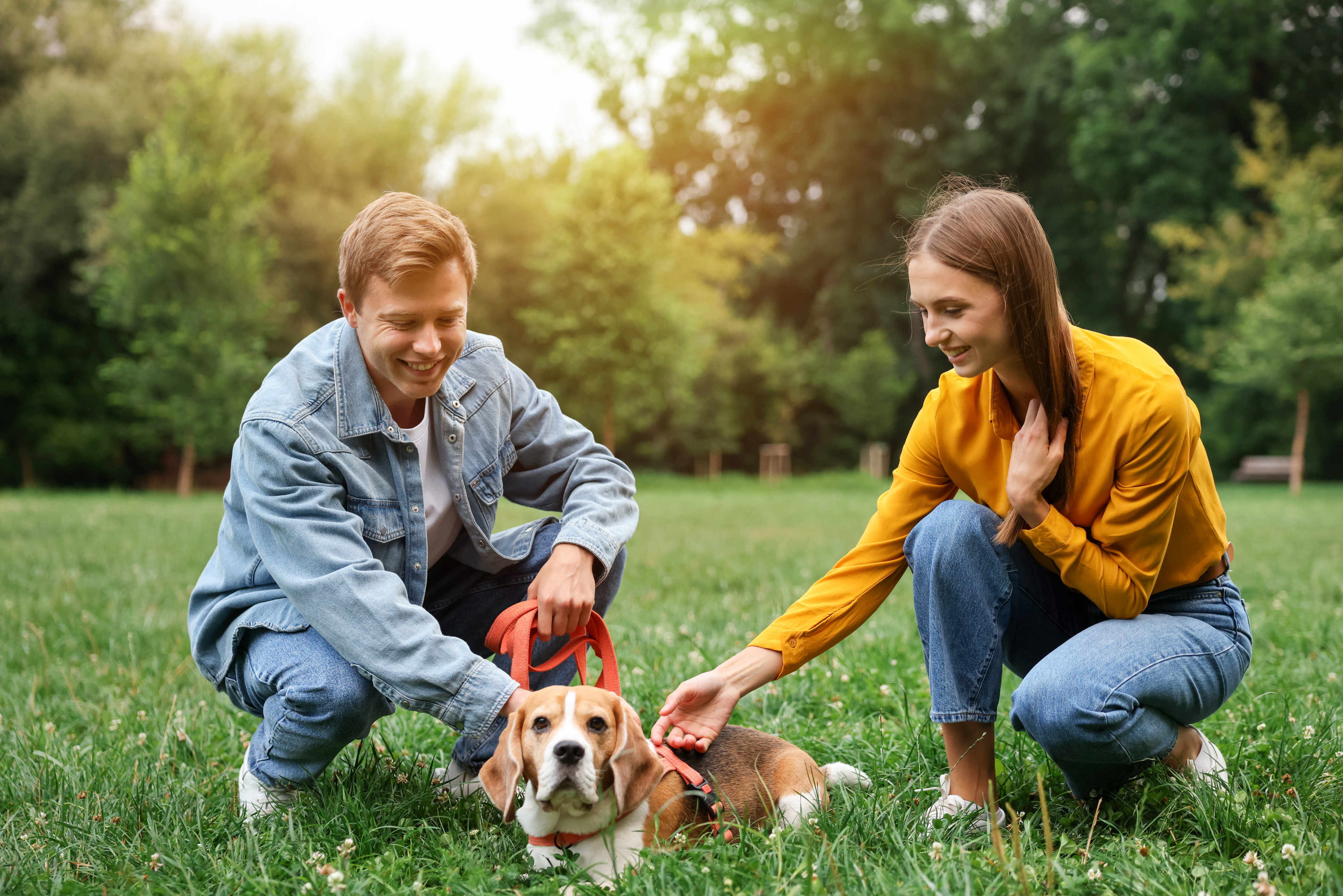 Two people spending calm time with a dog during a first meet and greet outdoors