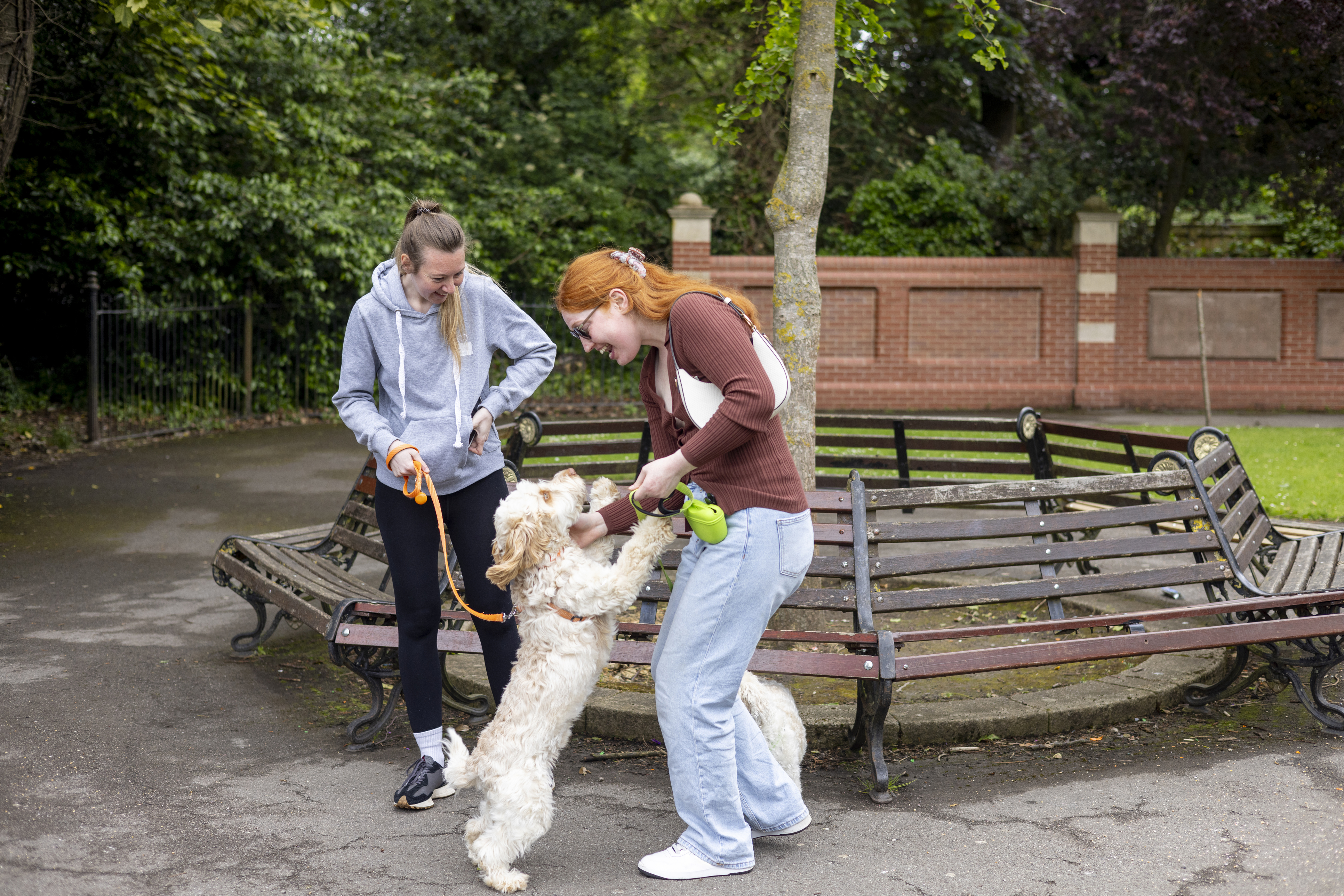 Two women meeting a dog in a park and getting to know each other