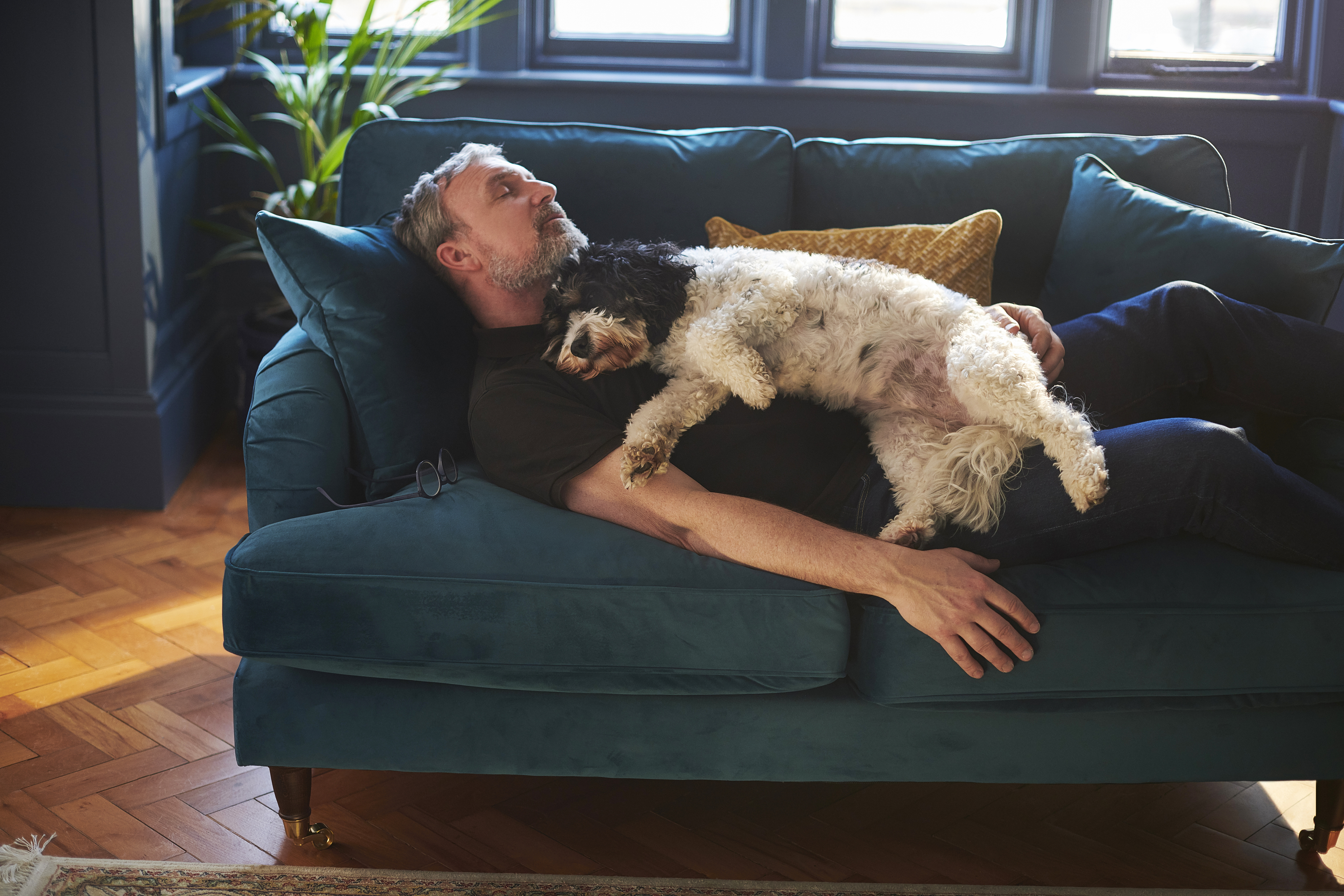Human and dog forming a calm emotional connection during overnight care