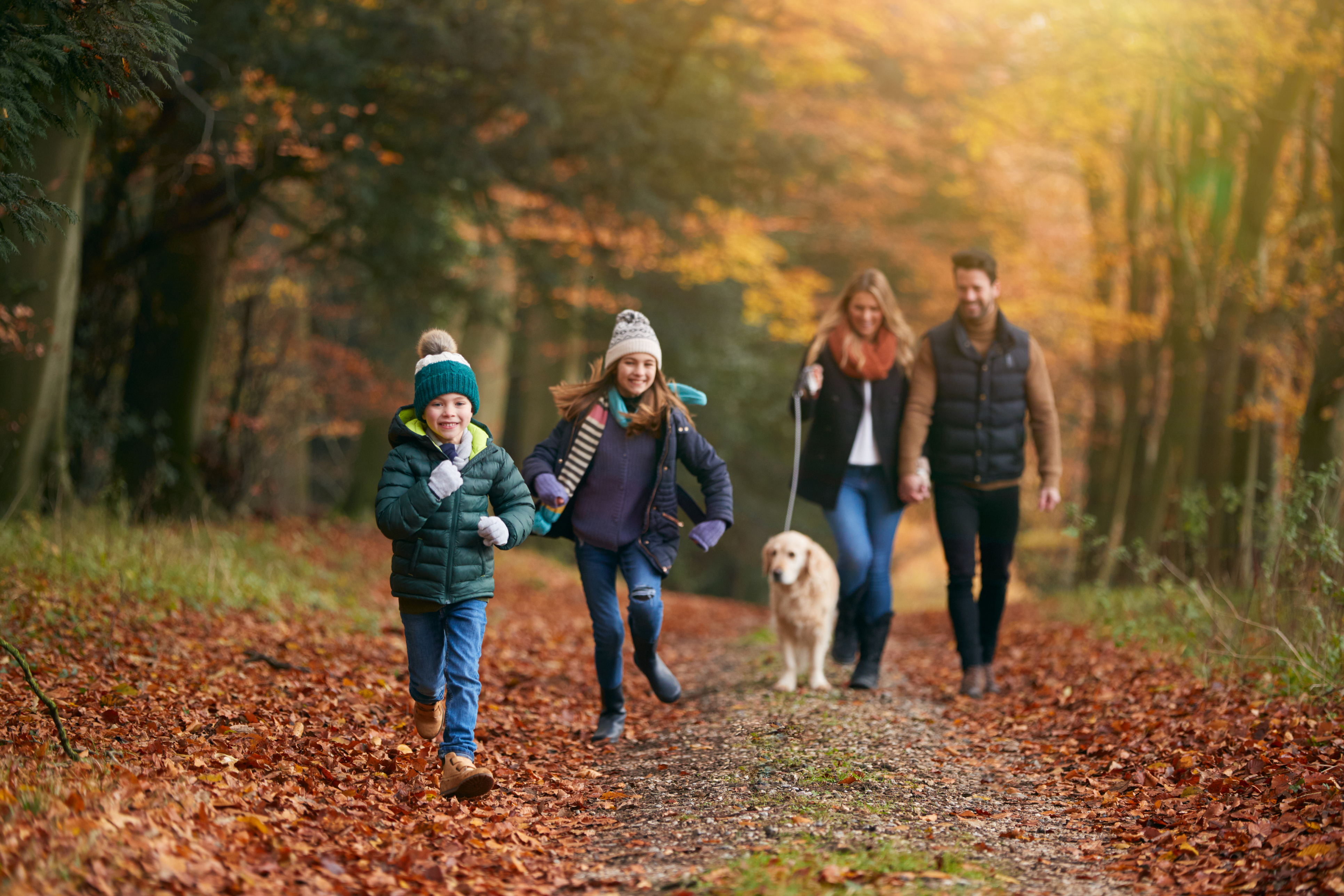 Family walking a dog in nature