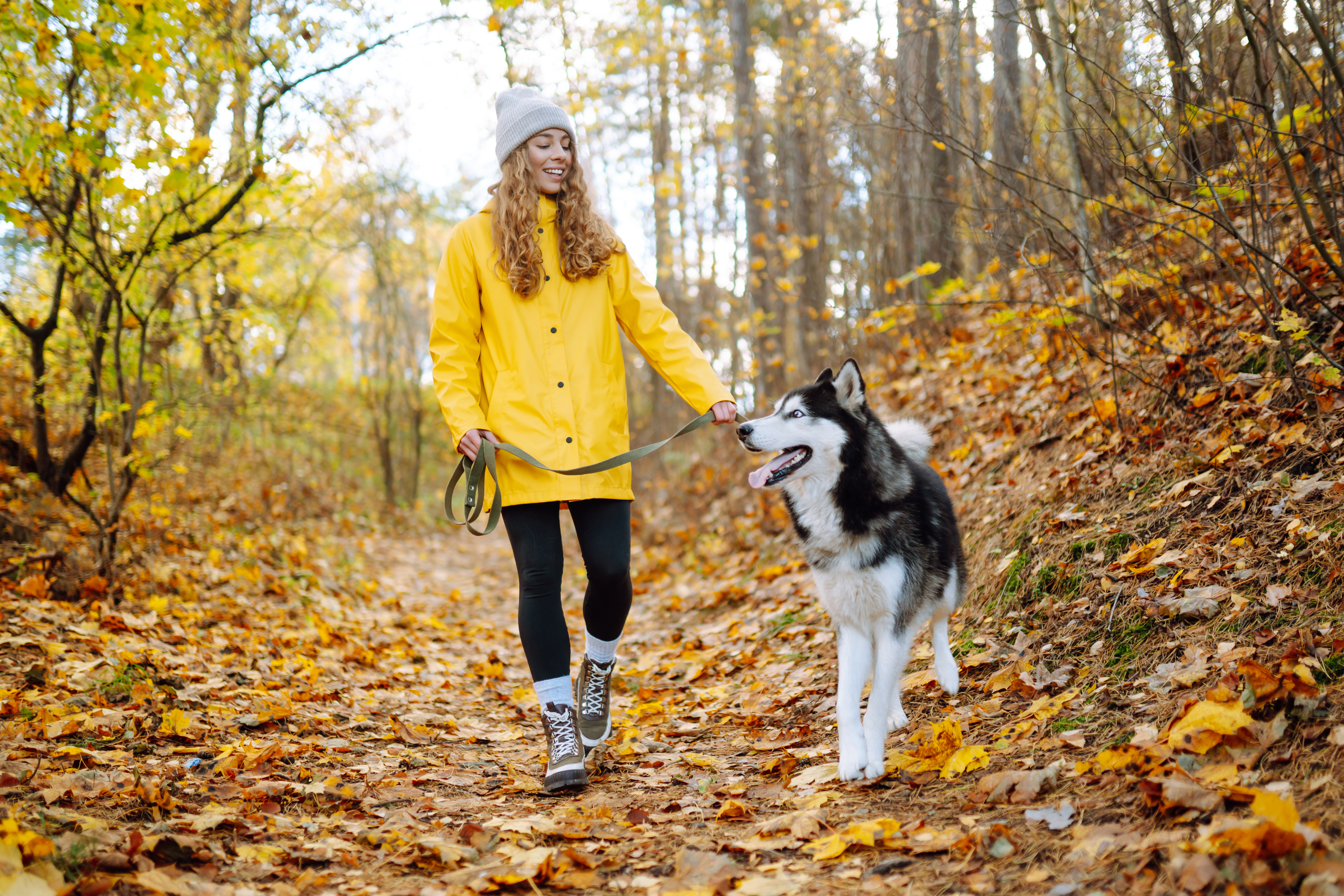 Woman walking a dog in an autumn park