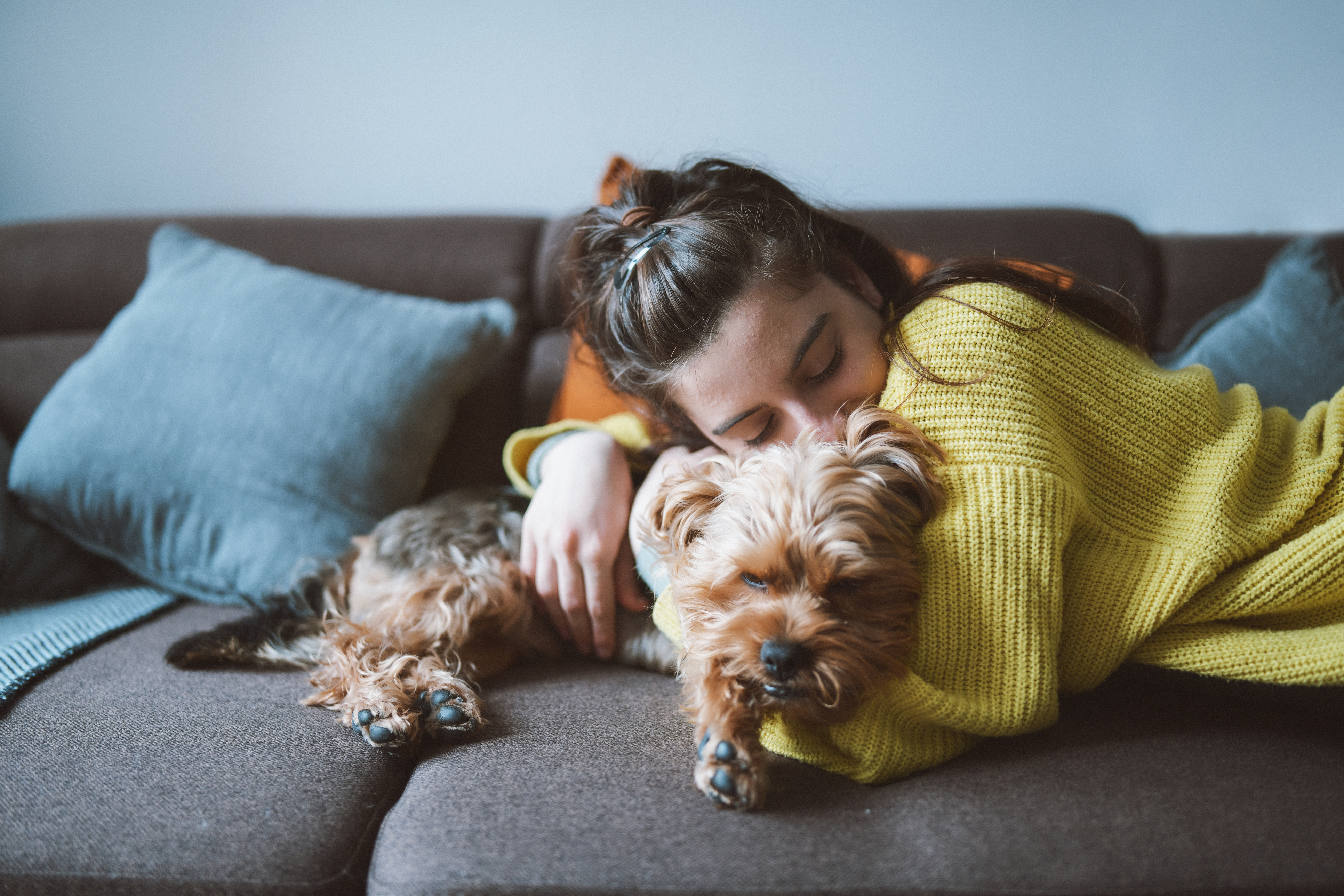 What to Do If a Pet Gets Homesick